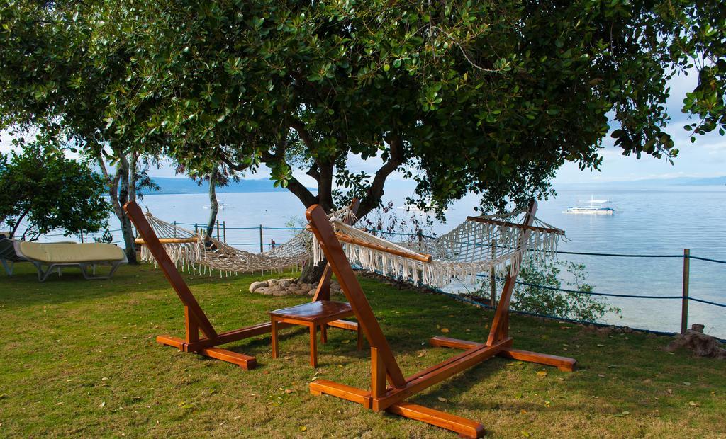 Quo Vadis Dive Resort Moalboal Εξωτερικό φωτογραφία